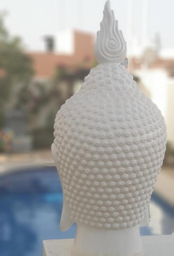 Flamingo Vila Alicante San Pedro del Pinatar Zewnętrze zdjęcie