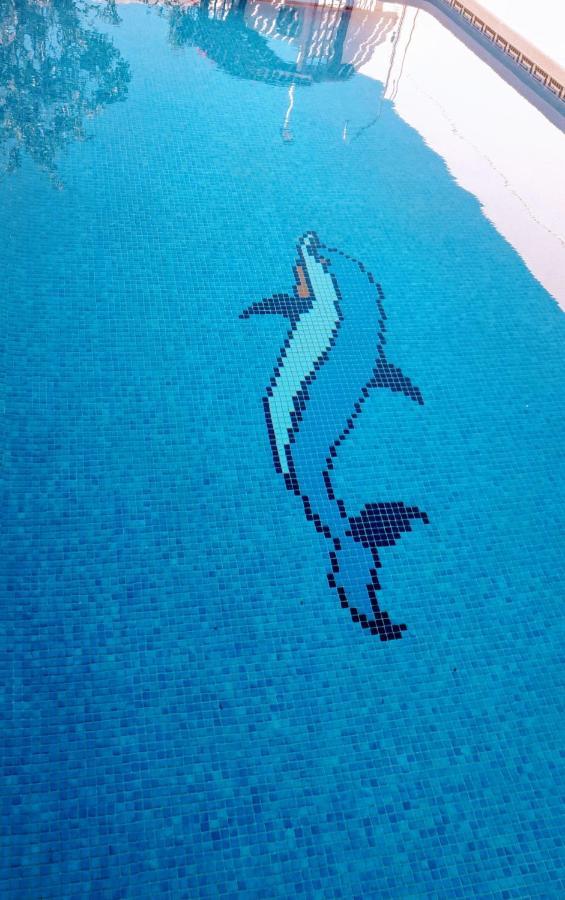 Flamingo Vila Alicante San Pedro del Pinatar Zewnętrze zdjęcie