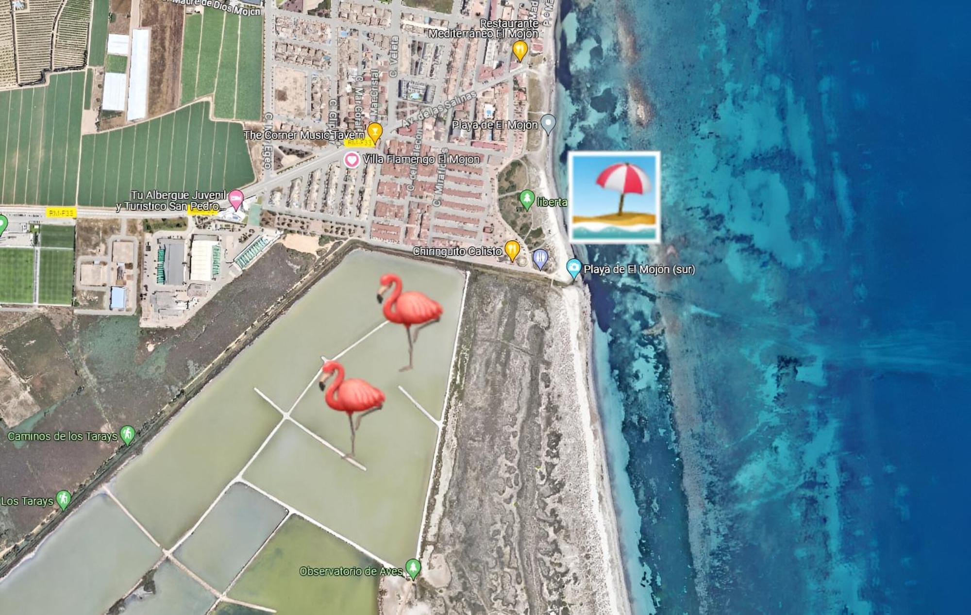 Flamingo Vila Alicante San Pedro del Pinatar Zewnętrze zdjęcie