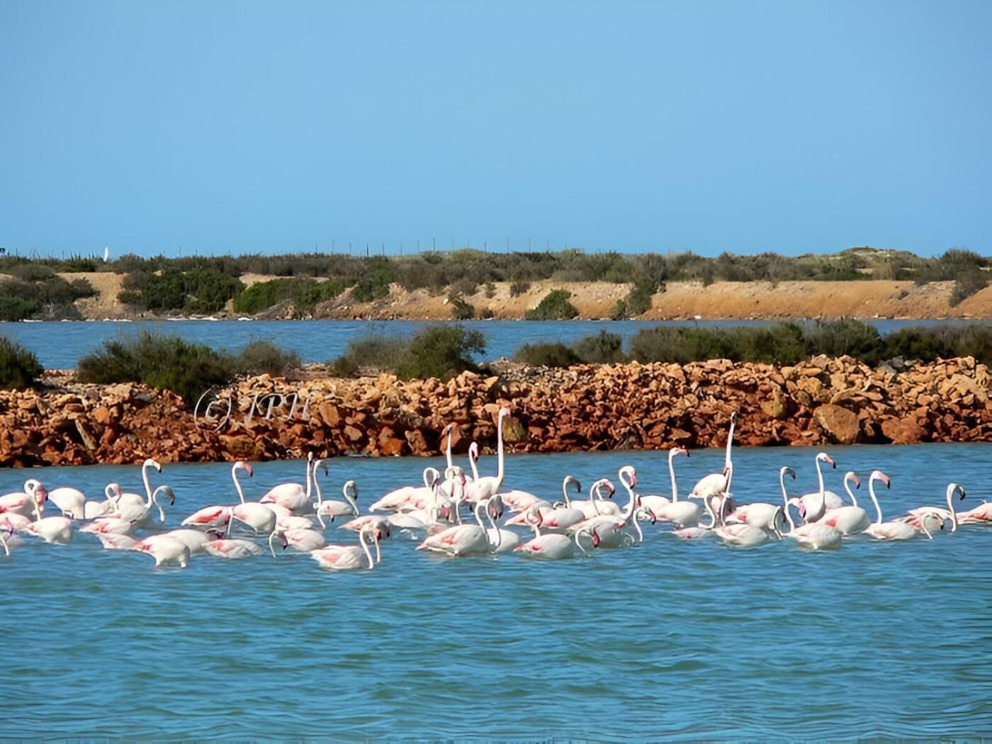 Flamingo Vila Alicante San Pedro del Pinatar Zewnętrze zdjęcie
